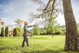 Best Tree and Shrub Care  in Coats Bend, AL