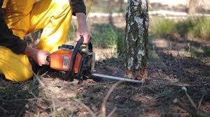 Coats Bend, AL Tree Services Company