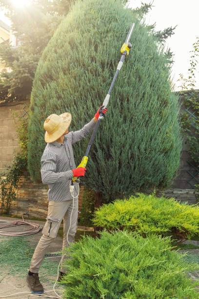 Best Weed Control  in Coats Bend, AL